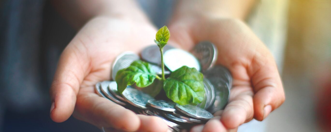 Hands holding coins with a growing plant symbolizing crypto staking rewards